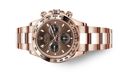 ROLEX Cosmograph Daytona Everose Gold Choco 116505 Dubai